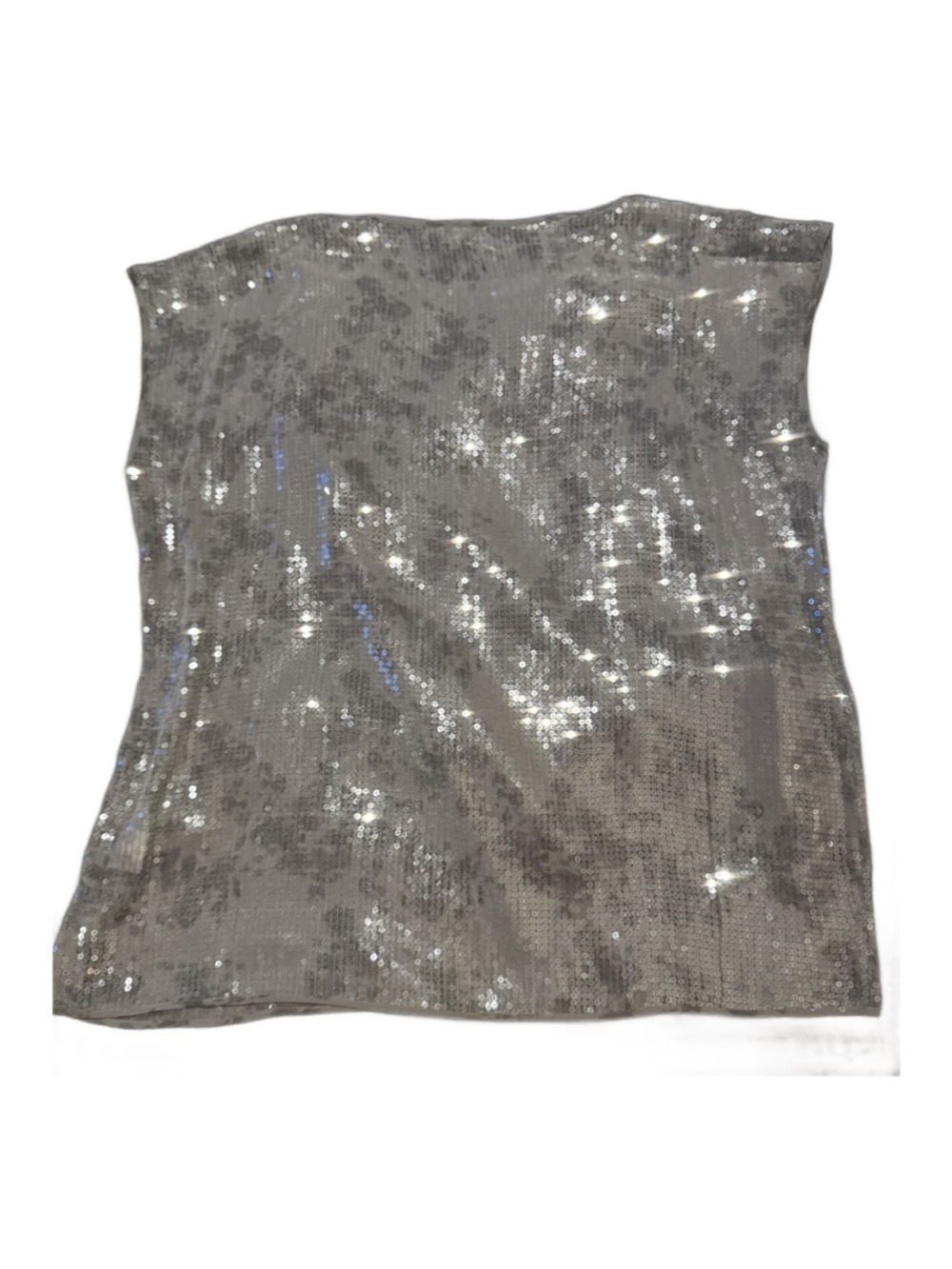Sequined Sleeveless Rye Sequined Top New with Tags